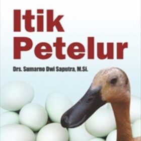 Itik Petelur