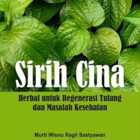 Sirih Cina; Herbal untuk Regenerasi Tulang dan Masalah Kesehatan